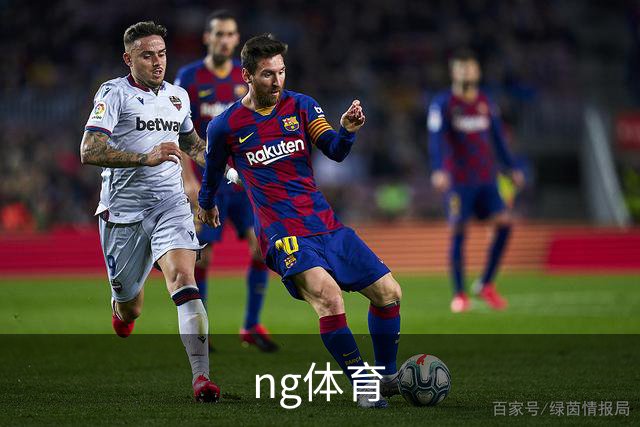 关于ng体育